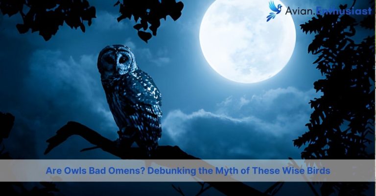 are owls bad omens