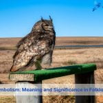 barred owl symbolism