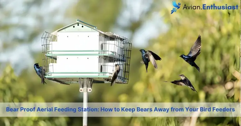 bear proof aerial feeding station