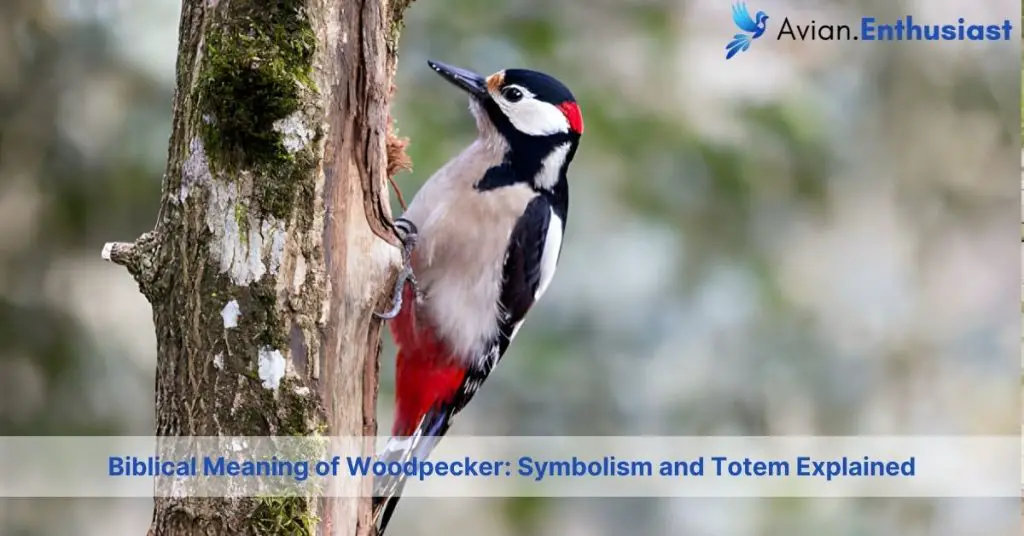 Unraveling Woodpecker Symbolism: Biblical Meaning And Totem Insights