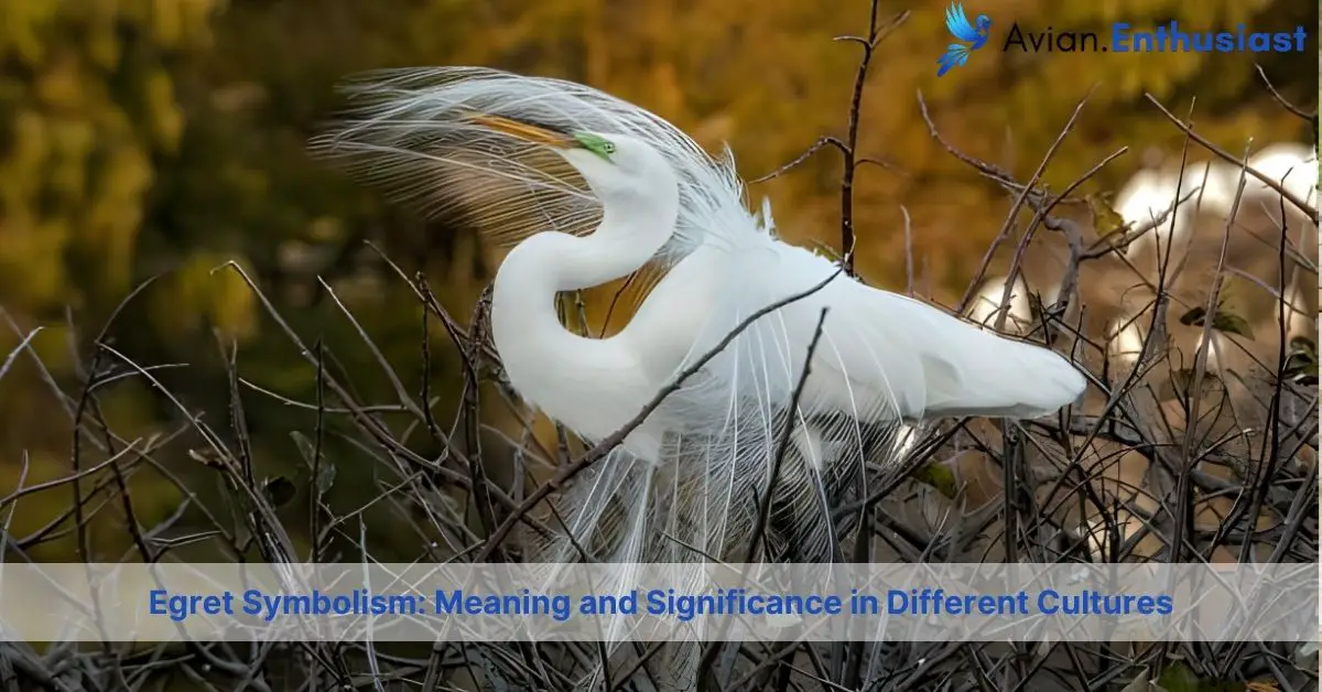 egret symbolism