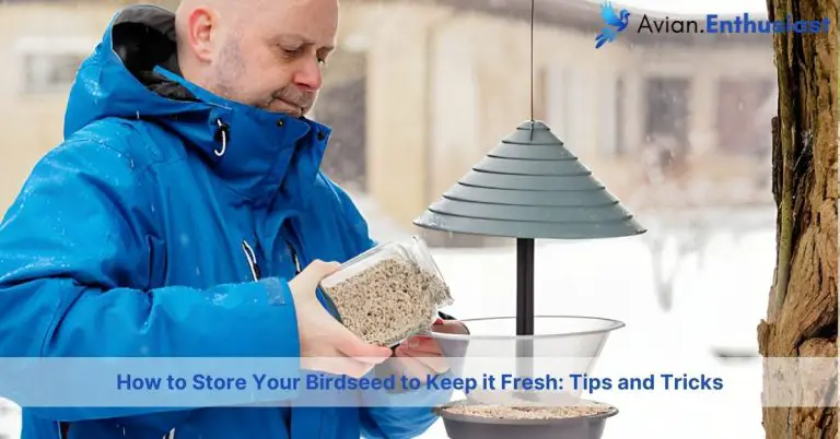 how to store your birdseed to keep it fresh