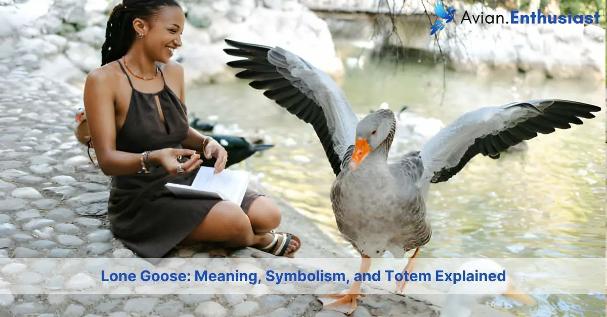 lone goose meaning symbolism and totem