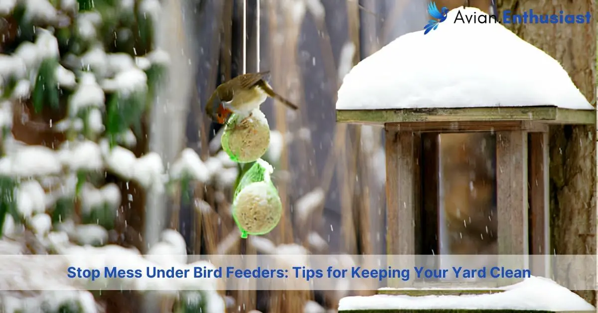 stop mess under bird feeders