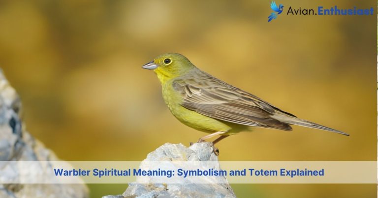 warbler spiritual meaning symbolism and totem