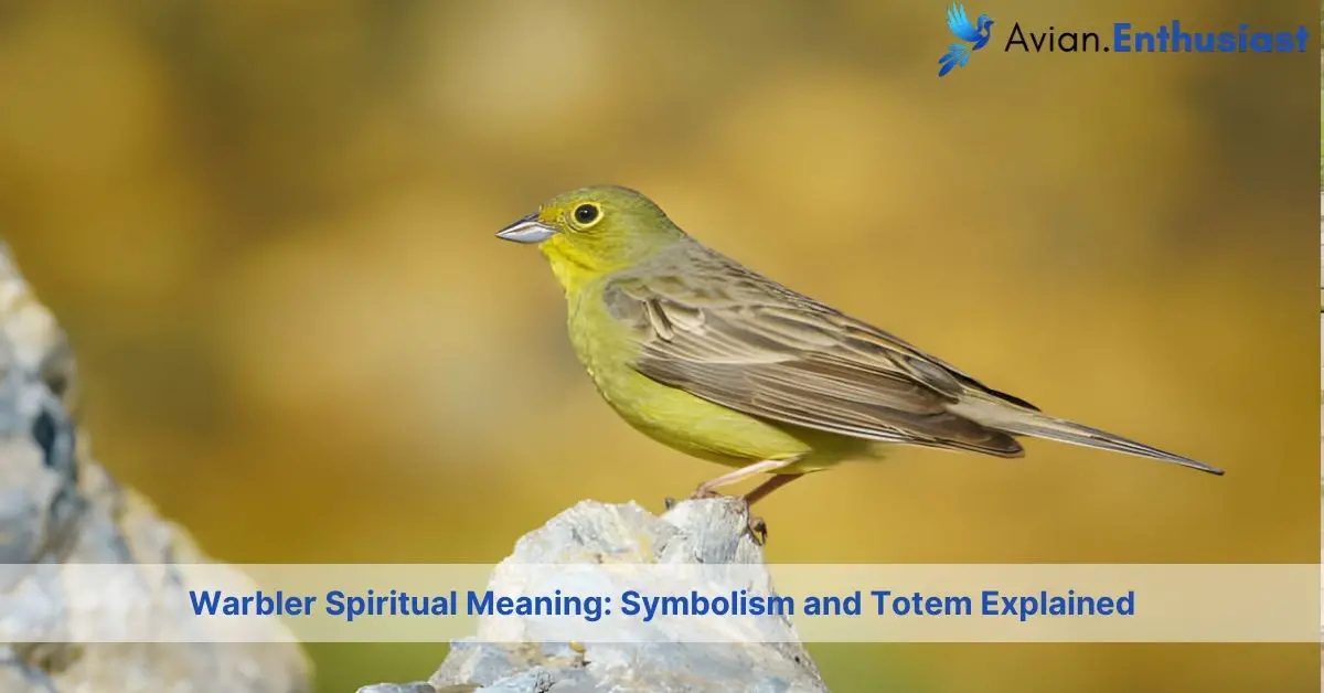 warbler spiritual meaning symbolism and totem