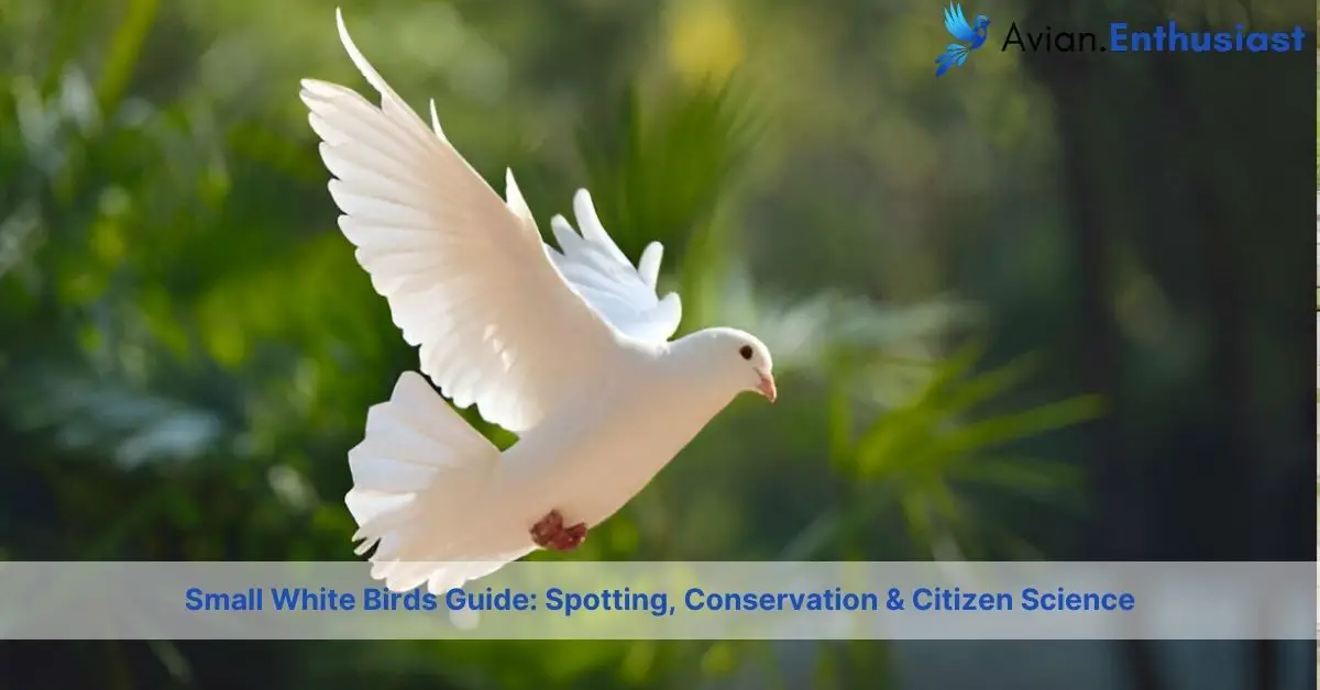 small white birds