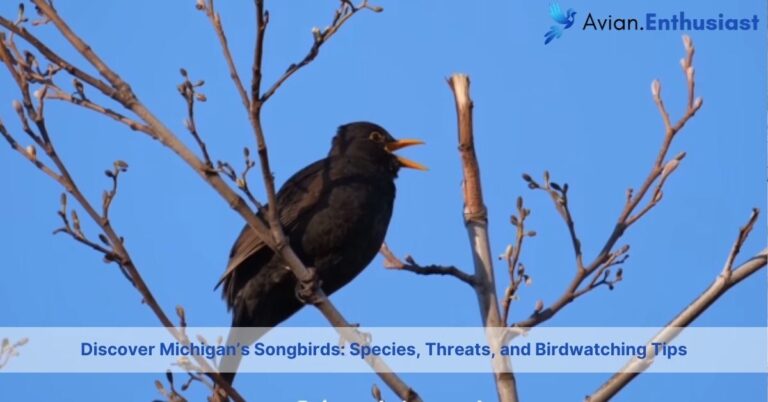 songbirds in michigan