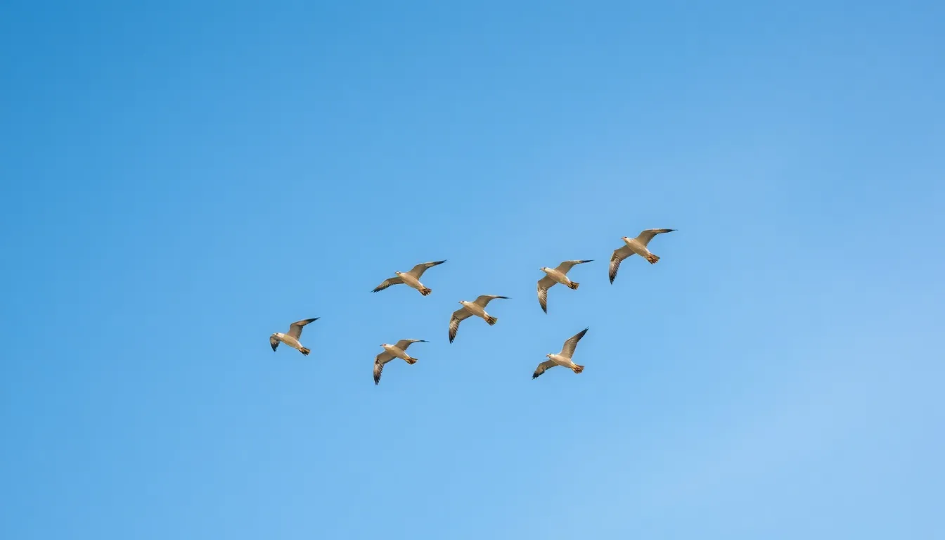 The Science Behind Bird Flying: How Wings, Speed & Migration Work Together 2 1 bird flying