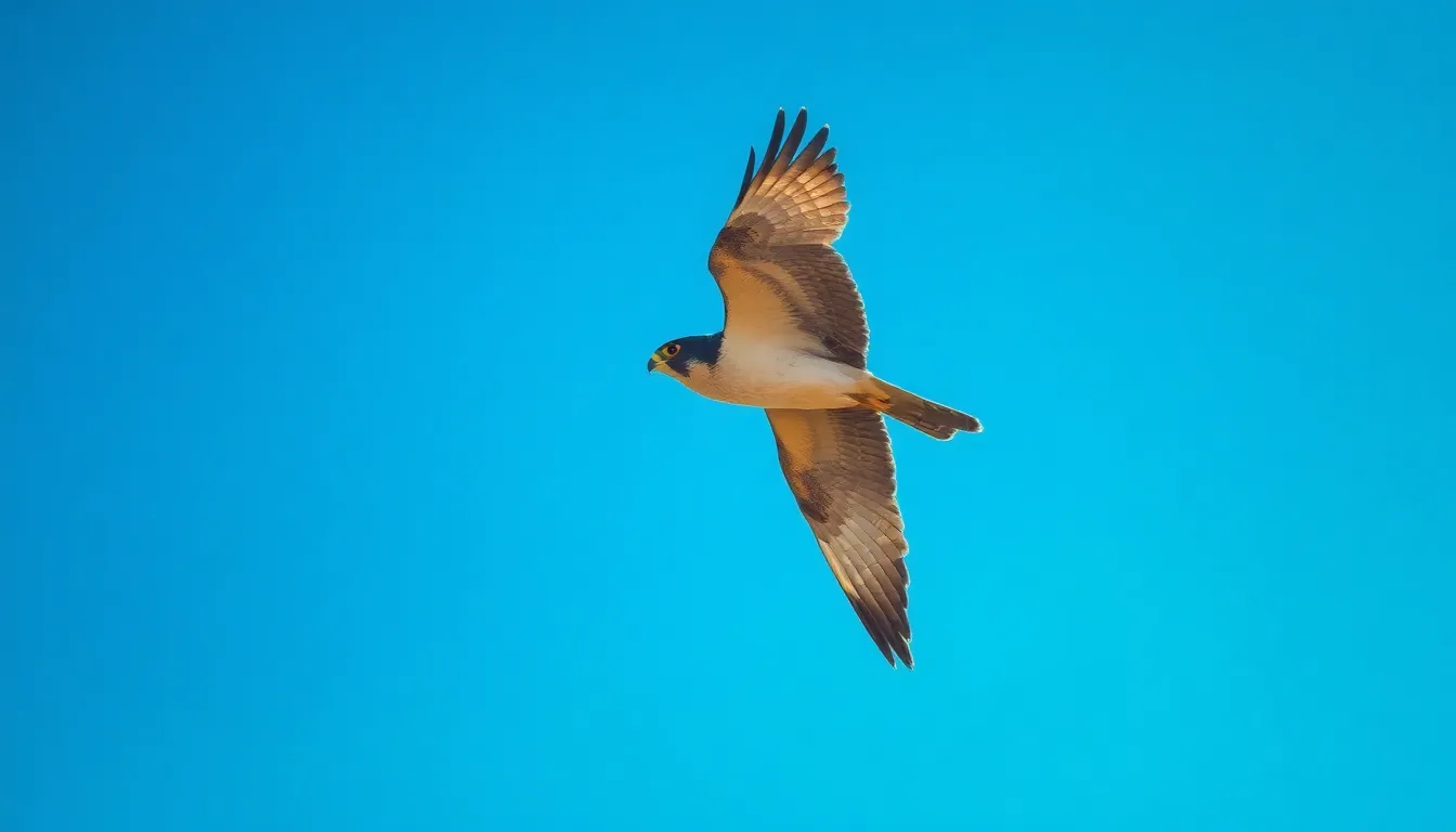 The Science Behind Bird Flying: How Wings, Speed & Migration Work Together 3 2 bird flying