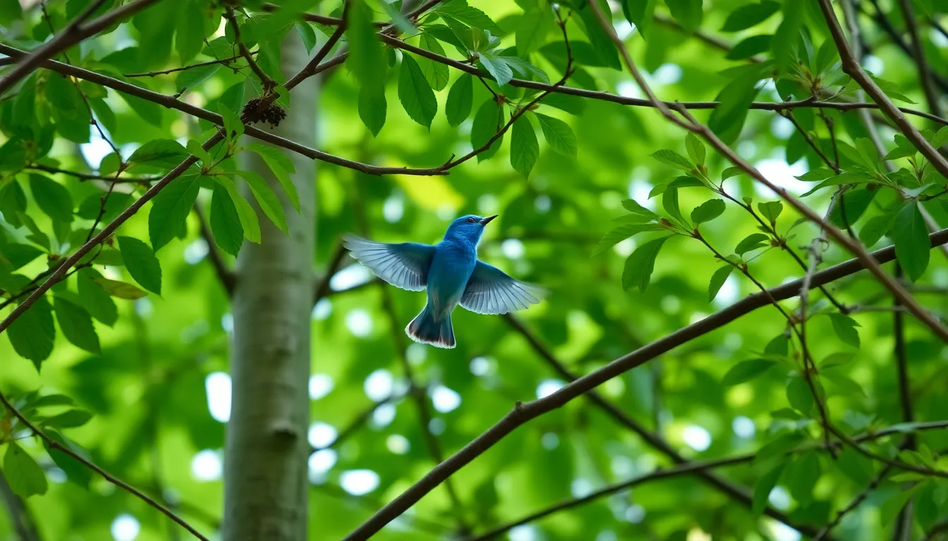 8 Amazing Blue Bird Flying Patterns You Need to See (+ Flight Secrets Revealed) 4 3 blue bird flying