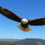 PCZIYqELo56IrSrBHIHbr