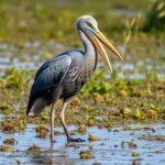 TfcFQbUiwEmDdrKfspC4D