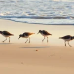 VKOnAzkJEucAZGUawmmFk