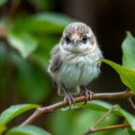 a3ZruJ4uZzZPo6ovxK0vZ