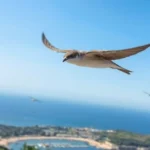 e82e6mFmWsdc3gSXxmmhW