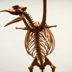 fuEQnEkFDUkFOdHV1OGtT