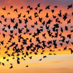 pN86AkxpTgXKMMCXal6UY